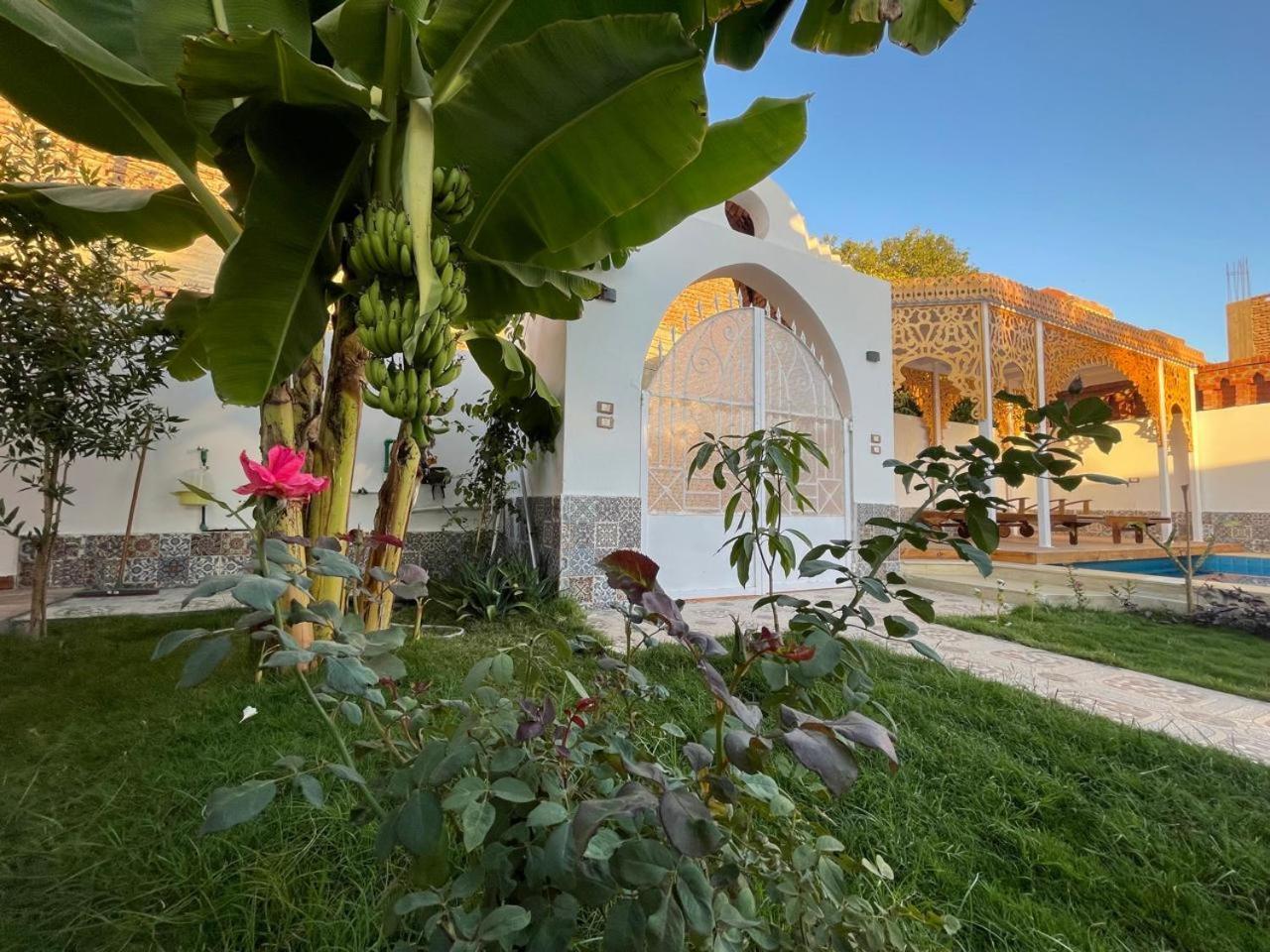 Villa Kemet Jazirat al Awwamiyah Екстериор снимка
